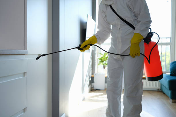 Best Mold Testing  in Virginia Gardens, FL